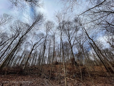 (private lake, pond, creek) Acreage For Sale in Campbellsburg Indiana