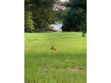 Lake Lot For Sale in Athens, Texas