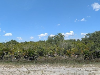Lake Lot For Sale in Indian Lake Estates, Florida
