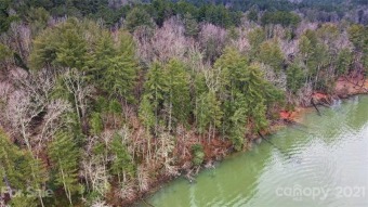 Lake Rhodhiss Acreage For Sale in Connelly Springs North Carolina