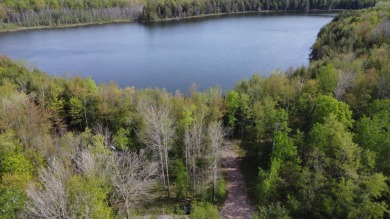 Lake Lot For Sale in White Lake, Wisconsin