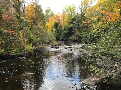 (private lake, pond, creek) Acreage For Sale in Mellen Wisconsin