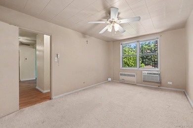 Spacious 1-Bedroom apartment located in the Spuyten Duyvil - photo 10