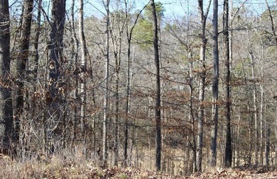 Developers!! Larger Golf Course ready to be built on Lot located - photo 1