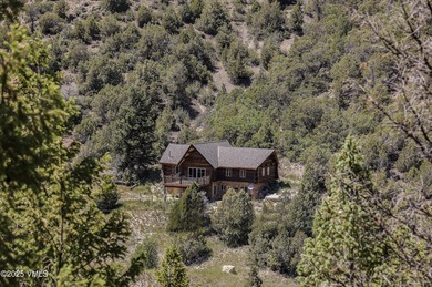 (private lake, pond, creek) Home For Sale in Eagle Colorado