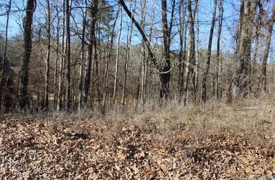 Developers!! Larger Golf Course ready to be built on Lot located - photo 2