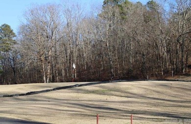 Developers!! Larger Golf Course ready to be built on Lot located - photo 3