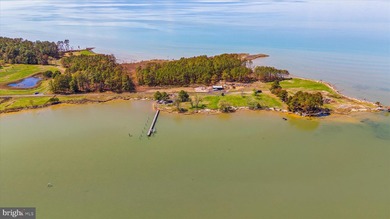 Spectacular Waterfront Peninsula - 21.87 Acres in Dorchester - photo 4