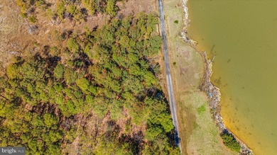 Spectacular Waterfront Peninsula - 21.87 Acres in Dorchester - photo 6