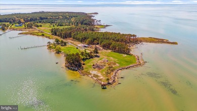Spectacular Waterfront Peninsula - 21.87 Acres in Dorchester - photo 10