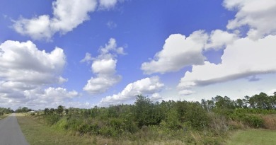 Lake Lot For Sale in Indian Lake Estates, Florida