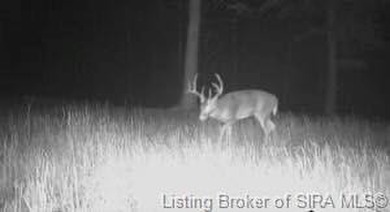 Lake Acreage For Sale in Borden, Indiana