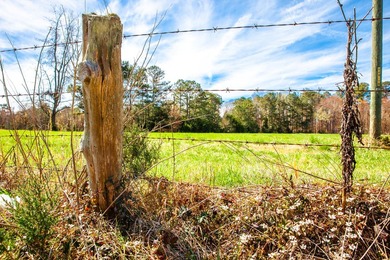 Welcome to Five Oaks Farm in Appling Ga. A Total of ten estate - photo 3