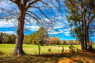 Welcome to Five Oaks Farm in Appling Ga. A Total of ten estate - photo 8