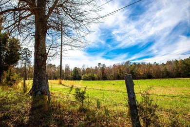 Welcome to Five Oaks Farm in Appling Ga. A Total of ten estate - photo 9