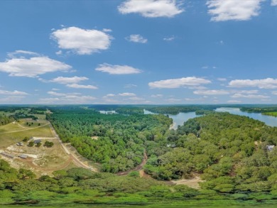 East Texas Lake Pinkston waterfront home on 2.62 Acres - photo 28