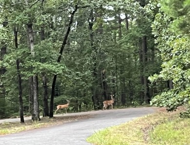 Lake Pinedo Lot For Sale in Hot Springs Village Arkansas