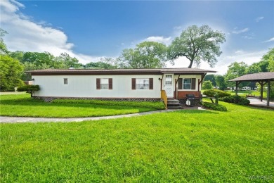 Lake Home For Sale in Rushford, New York