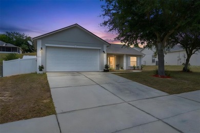 Grassy Lake - Lake County Home Sale Pending in Minneola Florida