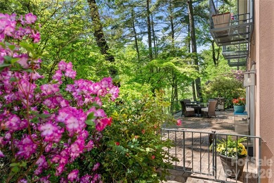 Stunning North Asheville home on a 0.76 acre lot in a desirable - photo 36