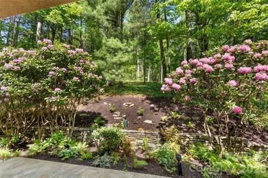 Stunning North Asheville home on a 0.76 acre lot in a desirable - photo 41