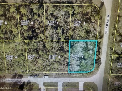 Lehigh Acres Area Lot For Sale in Lehigh Acres Florida