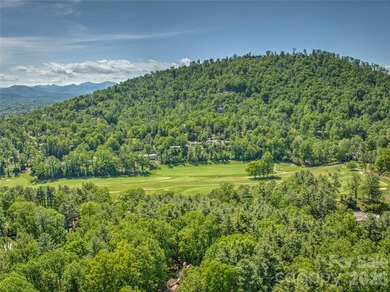 Stunning North Asheville home on a 0.76 acre lot in a desirable - photo 43