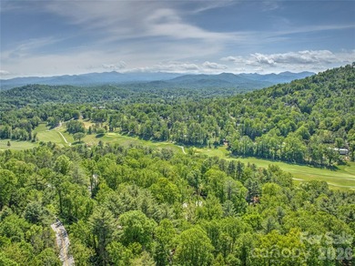 Stunning North Asheville home on a 0.76 acre lot in a desirable - photo 44