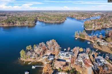 Close in to Chapin, this 2021 custom-built home, offers a wow - photo 48