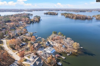 Close in to Chapin, this 2021 custom-built home, offers a wow - photo 50