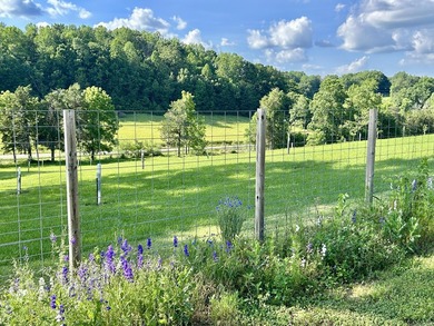 Check out this gorgeous 5 acre property with a country setting - photo 2