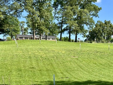 Check out this gorgeous 5 acre property with a country setting - photo 3