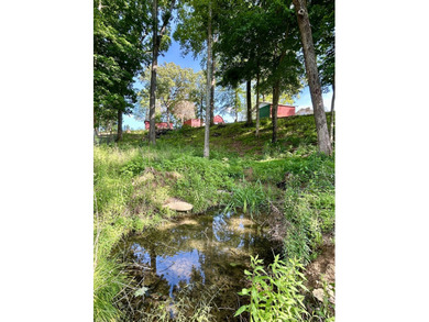 Check out this gorgeous 5 acre property with a country setting - photo 7