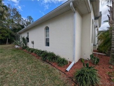 The best value in all of Sugarmill Woods! Cypress Village of - photo 48
