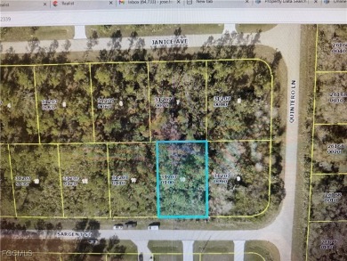 Lehigh Acres Area Lot For Sale in Lehigh Acres Florida