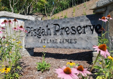 Come see this gorgeous level building lot in the gated community - photo 16