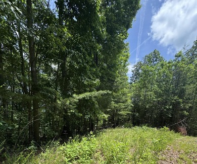 Lake Cumberland Lot For Sale in Monticello Kentucky