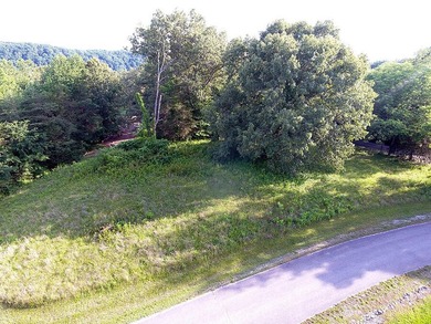 1.27 Acre Lake Cumberland Building Lot - photo 5