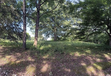 1.27 Acre Lake Cumberland Building Lot - photo 9