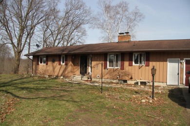 Portage River - St. Joseph County Home For Sale in Three Rivers Michigan