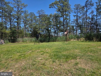 Prime Sika Deer Country! Small private getaway with pond. Enough - photo 3