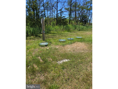 Prime Sika Deer Country! Small private getaway with pond. Enough - photo 4