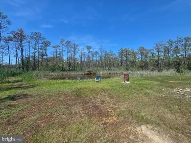 Prime Sika Deer Country! Small private getaway with pond. Enough - photo 5