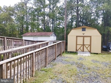 Prime Sika Deer Country! Small private getaway with pond. Enough - photo 9