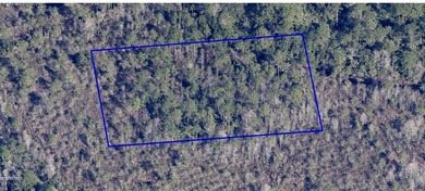 An opportunity to own 1.4 acres of undeveloped land in - photo 1