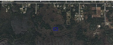 An opportunity to own 1.4 acres of undeveloped land in - photo 4