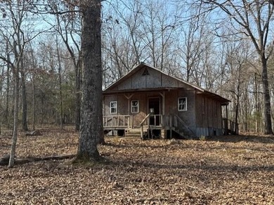 262+/- acre & country home for sale with long frontage on the - photo 30