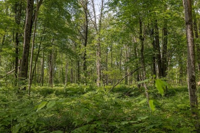 (private lake, pond, creek) Acreage For Sale in Bitely Michigan