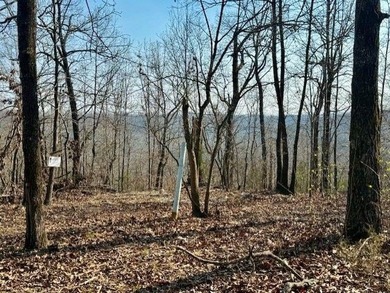 262+/- acre & country home for sale with long frontage on the - photo 32