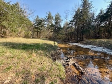 262+/- acre & country home for sale with long frontage on the - photo 34
